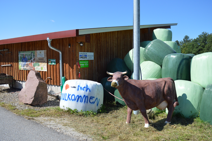 Stall, Strohballen und eine Plastik Kuh