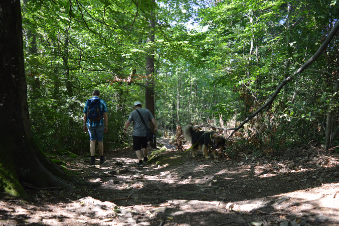 Menschen mit Hund im Wald