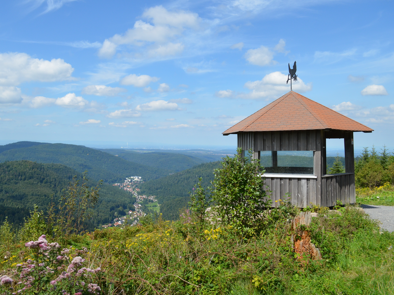 Schwarzkopfhütte mit Ausblick auf Bad Herrenalb