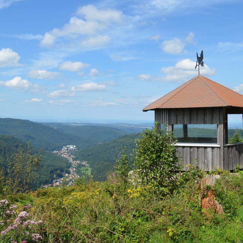 Schwarzkopfhütte mit Ausblick auf Bad Herrenalb