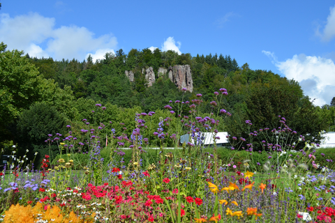 Falkensteinfelsen mit Blumen im Vordergrund