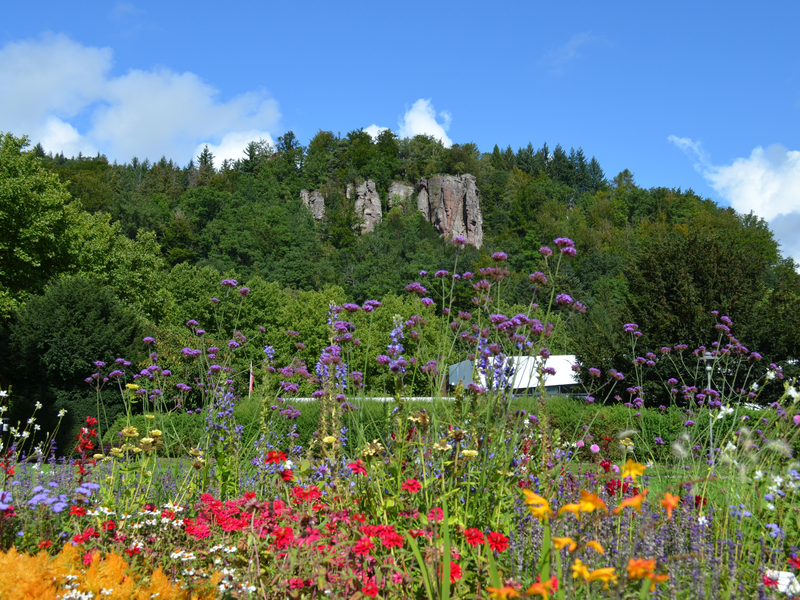 Falkensteinfelsen mit Blumen im Vordergrund