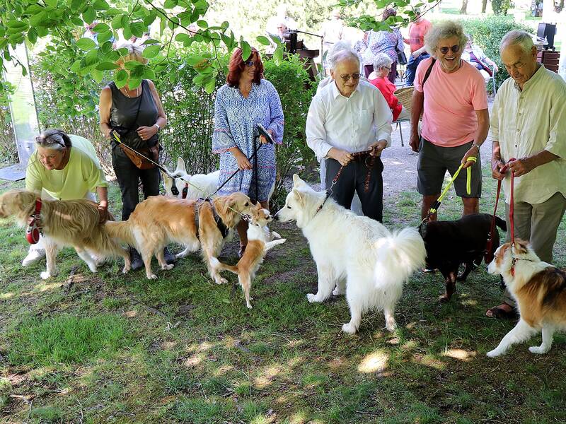 Am Sonntag, 4. August, findet eine Andacht für Mensch und Tier im “Treffpunkt Kirche” im Herrenalber Kurpark statt. Beginn ist um 16.00 Uhr.