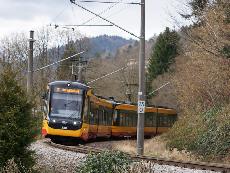 Zu sehen ist eine schwarz-gelb farbene S-Bahn vor vorne, die durch eine herbstliche Landschaft fährt.